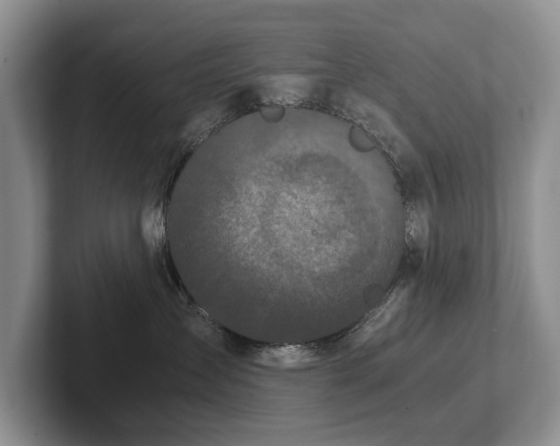 X0000102510431200808081414