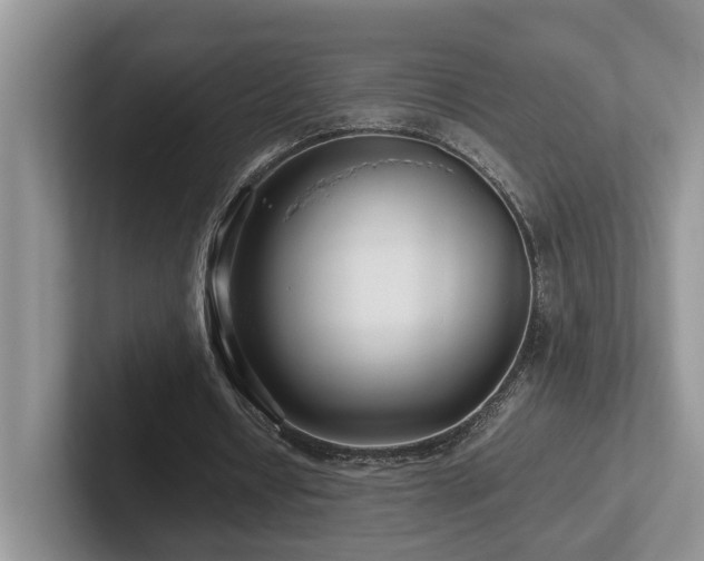X0000102510434200808081413