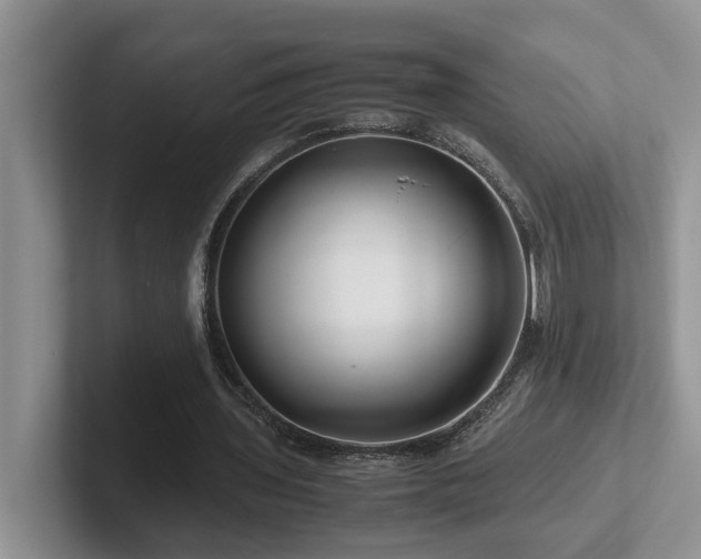 X0000102510435200808081413
