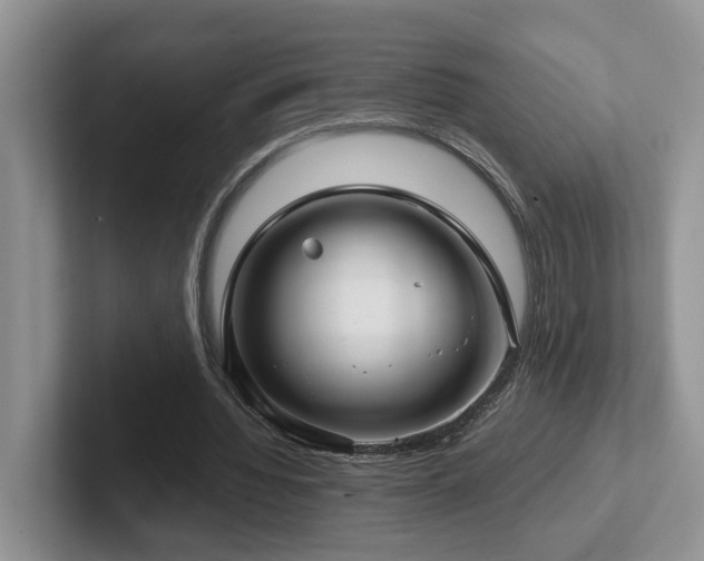 X0000102510436200808081413