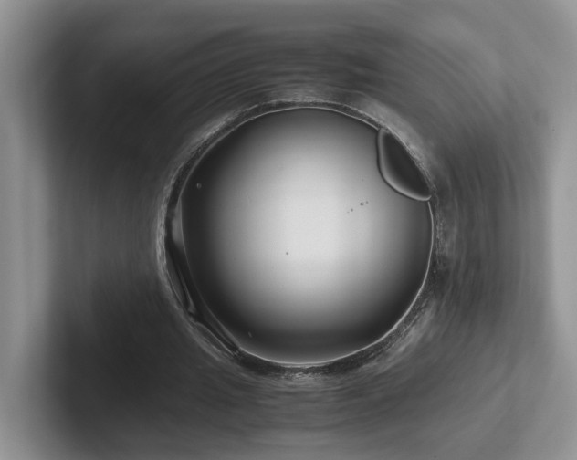 X0000102510437200808081413