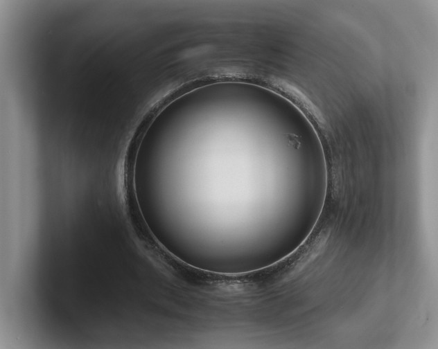X0000102510439200808081413