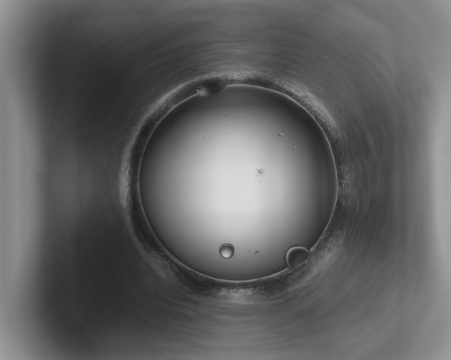 X0000102510440200808081413