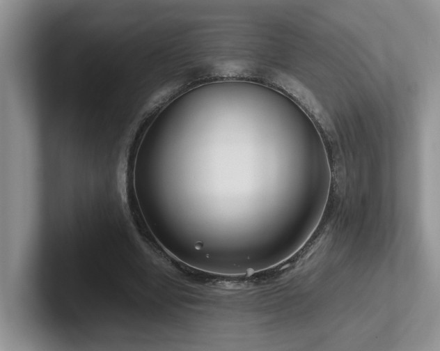 X0000102510442200808081413