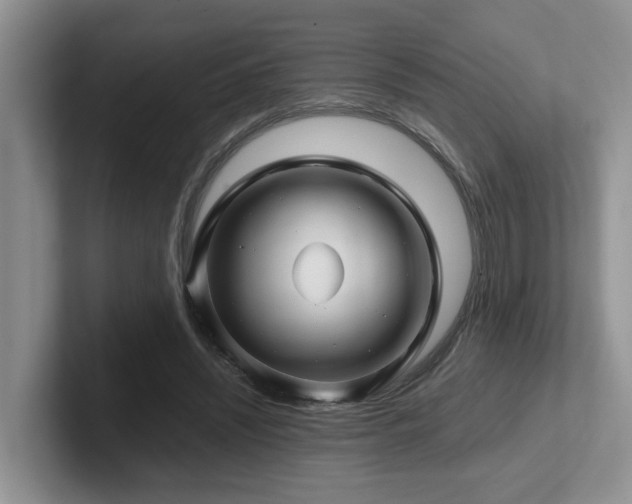 X0000102510444200808081413