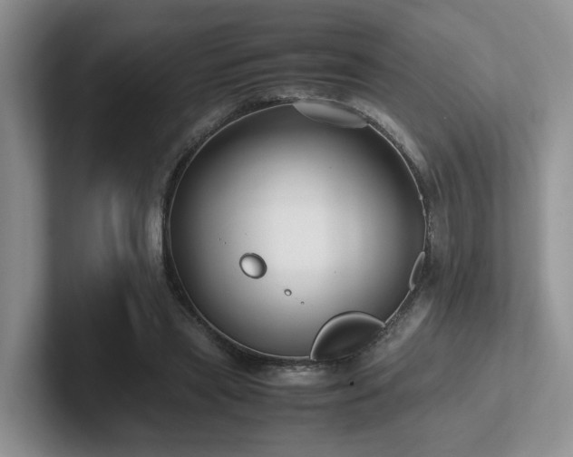 X0000102510445200808081413