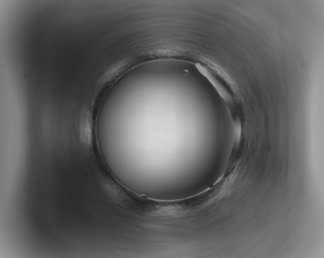 X0000102510446200808081413