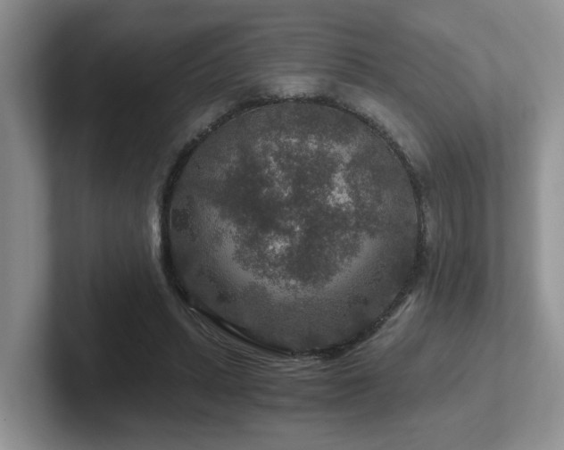 X0000102510447200808081413