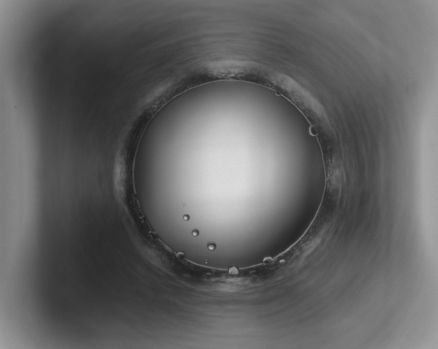 X0000102510448200808081413