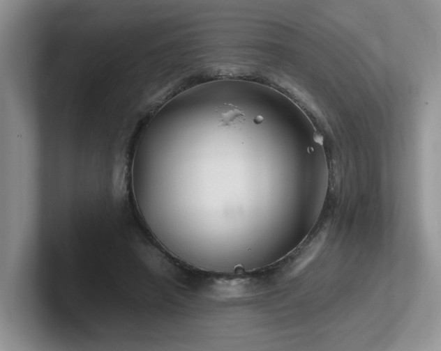 X0000102510450200808081413