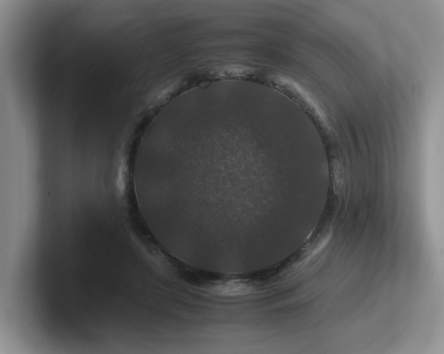 X0000102510451200808081413