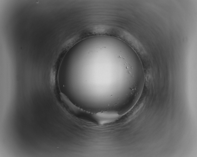 X0000102510454200808081413
