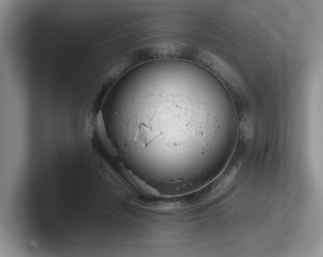 X0000102510458200808081413
