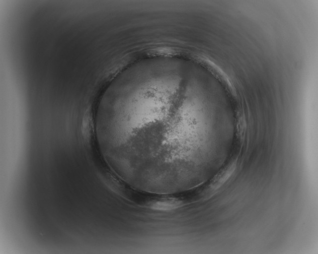 X0000102510459200808081413