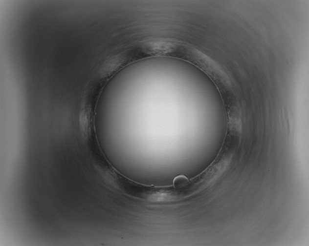 X0000102510460200808081413