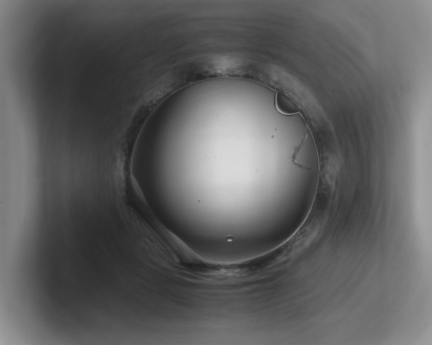X0000102510461200808081413