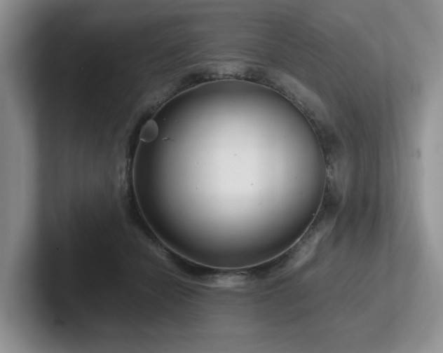 X0000102510462200808081414