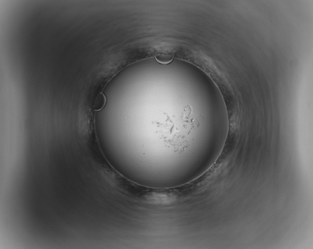 X0000102510464200808081414