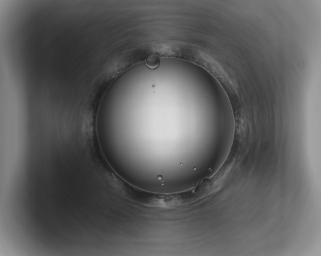 X0000102510466200808081414