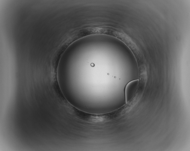 X0000102510469200808081414