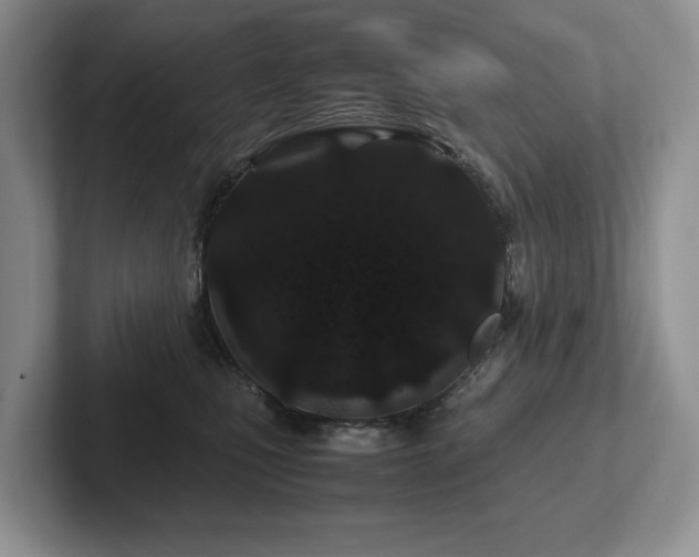 X0000102510471200808081414