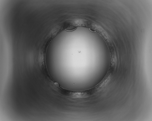 X0000102510473200808081414