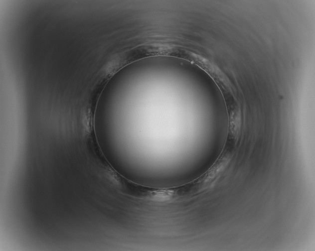 X0000102510474200808081414