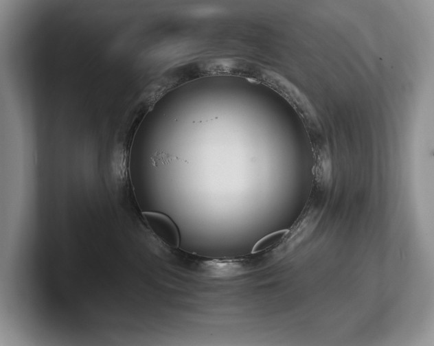 X0000102510477200808081414