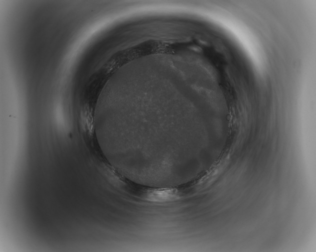 X0000102510479200808081414