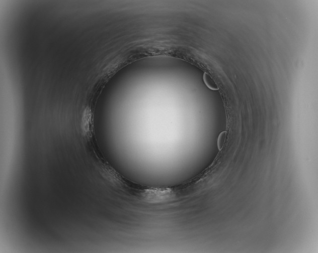 X0000102510480200808081414