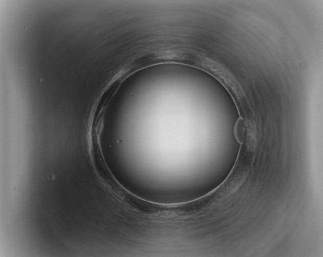 X0000102510482200808081413