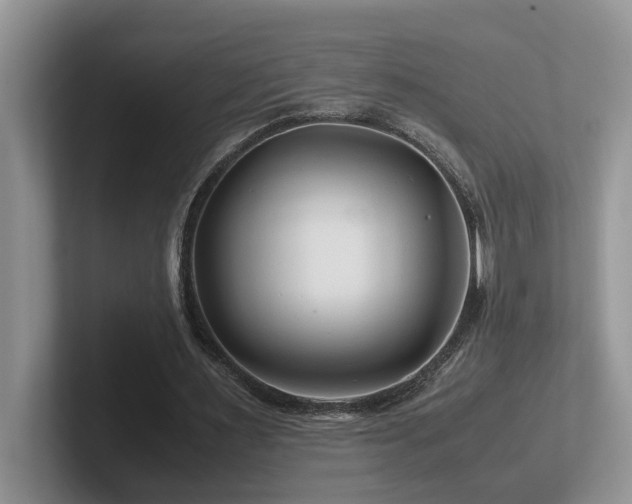 X0000102510483200808081413