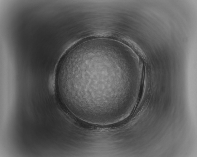 X0000102510484200808081413