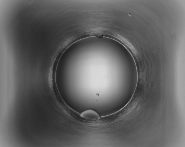 X0000102510485200808081413