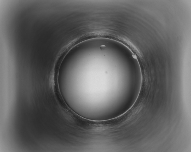 X0000102510486200808081413