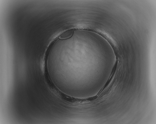 X0000102510488200808081413