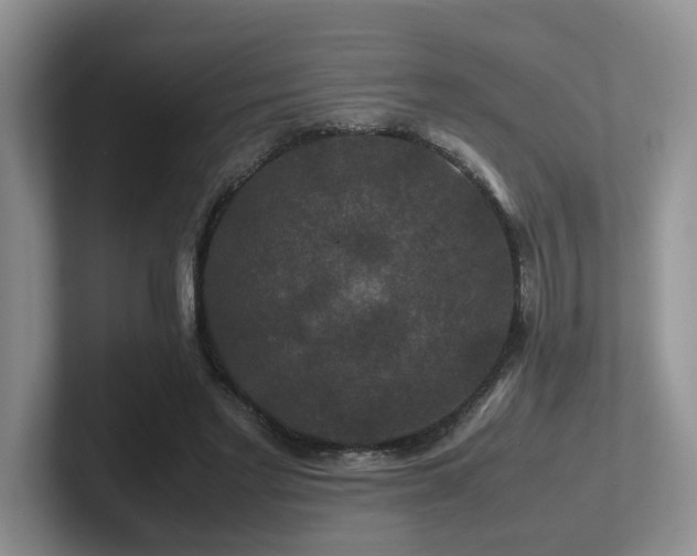 X0000102510493200808081413