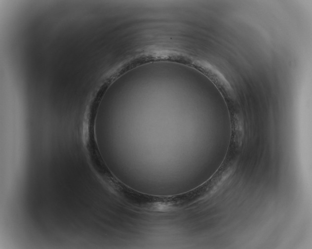X0000102510496200808081413