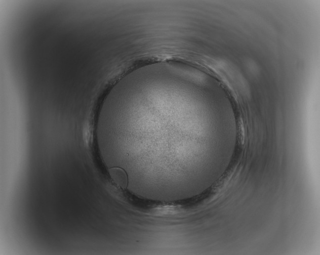 X0000102510499200808081413