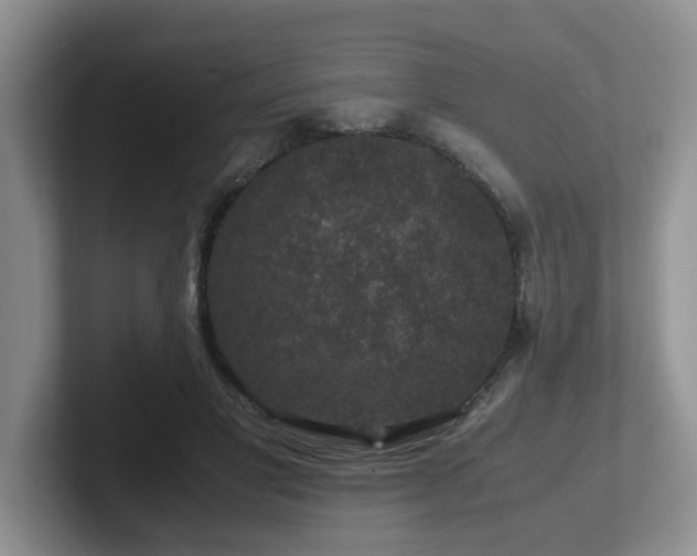 X0000102510501200808081413