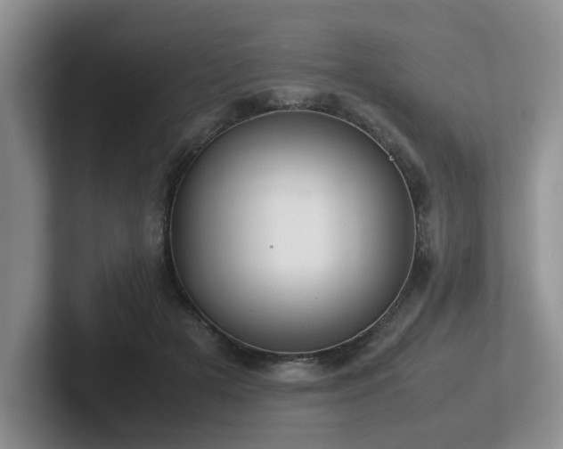 X0000102510505200808081413
