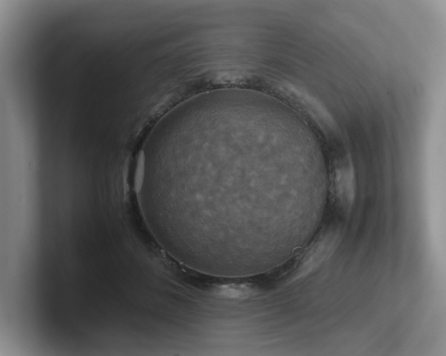 X0000102510508200808081413