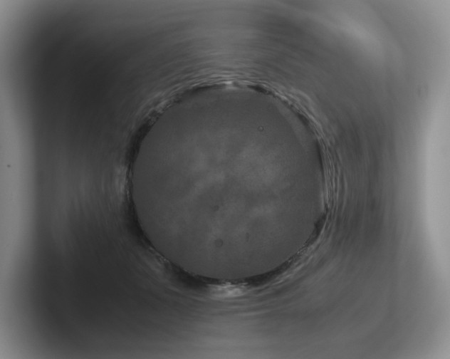 X0000102510511200808081413