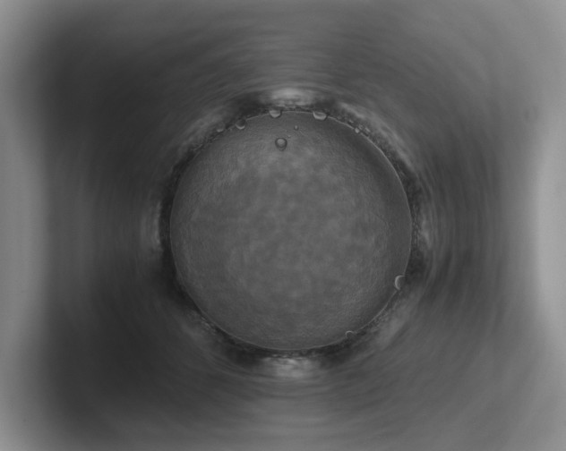X0000102510512200808081413