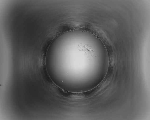 X0000102510515200808081413