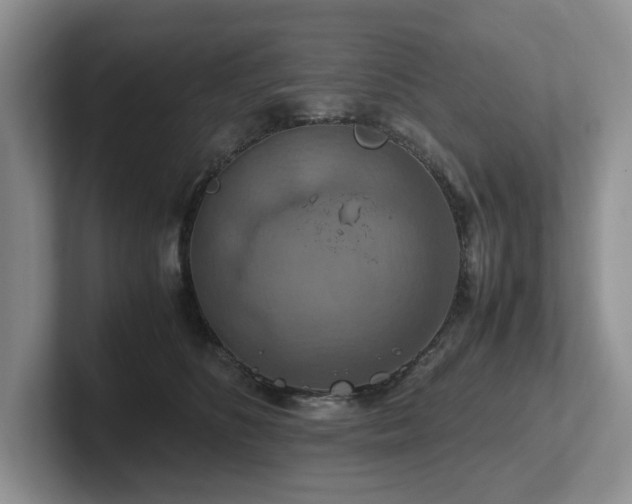 X0000102510516200808081413
