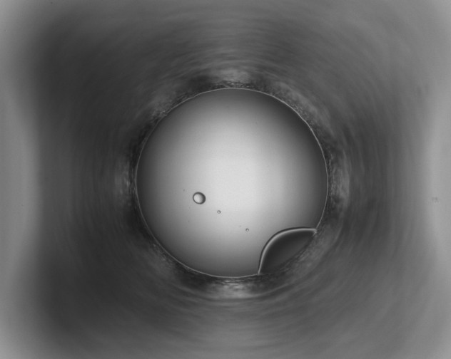 X0000102510518200808081413