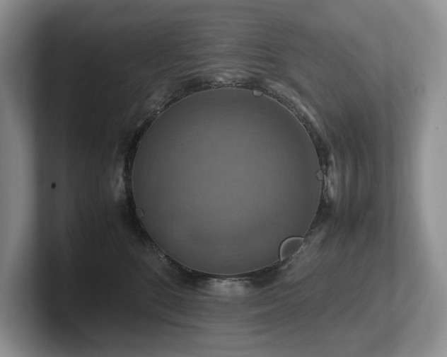 X0000102510520200808081413