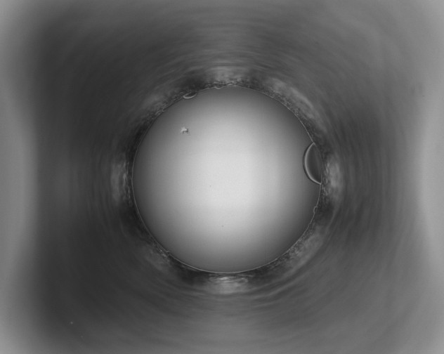 X0000102510522200808081413