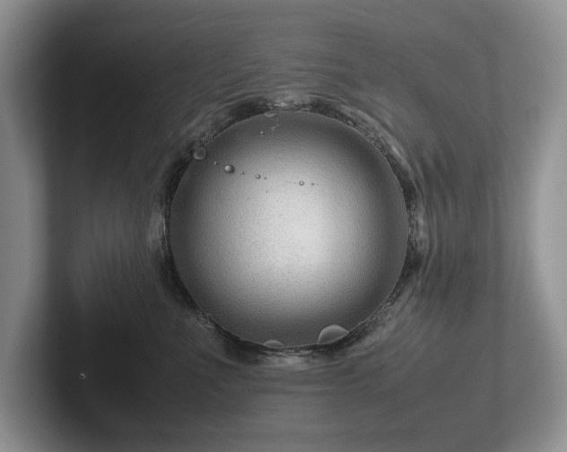 X0000102510523200808081413